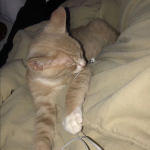 Meet your Posher, Martha